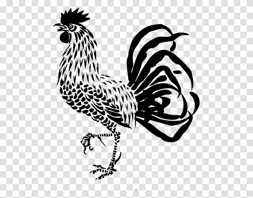 Detail Gambar Ayam Jago Hitam Putih Nomer 14