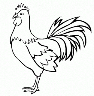 Detail Gambar Ayam Jago Hitam Putih Nomer 4