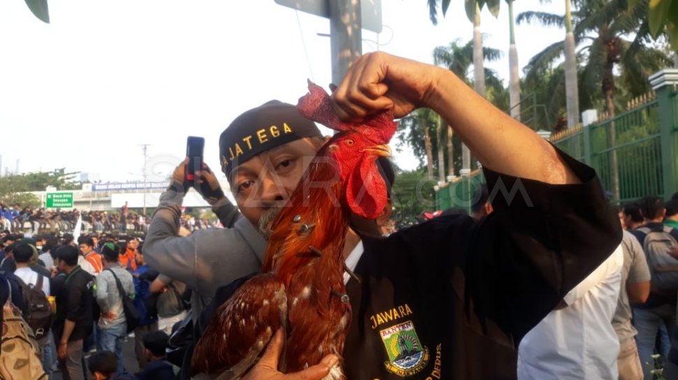 Detail Gambar Ayam Jago Jawara Nomer 32