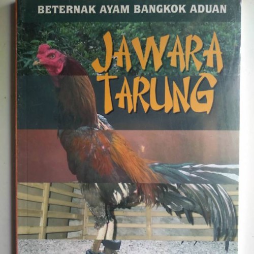 Detail Gambar Ayam Jago Jawara Nomer 40