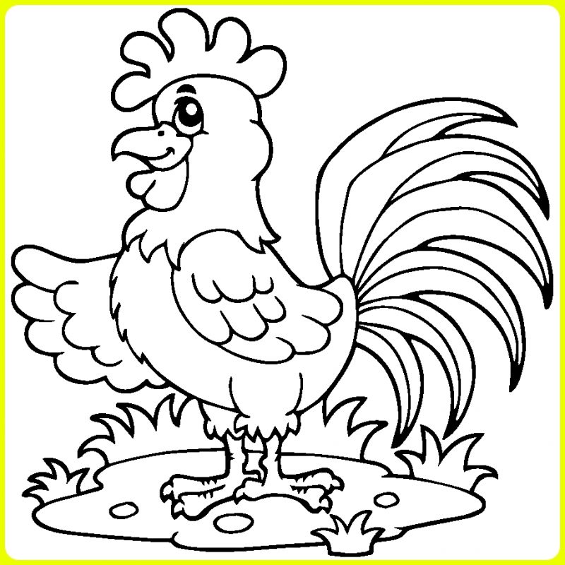 Detail Gambar Ayam Jago Kartun Lucu Nomer 15