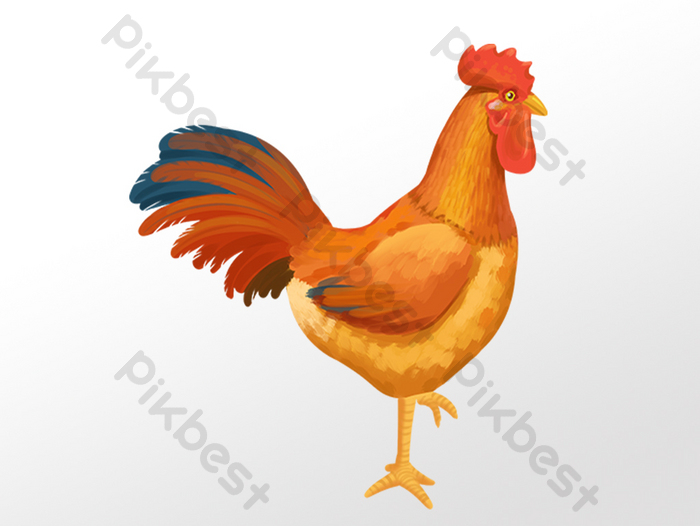 Detail Gambar Ayam Jago Kartun Lucu Nomer 31