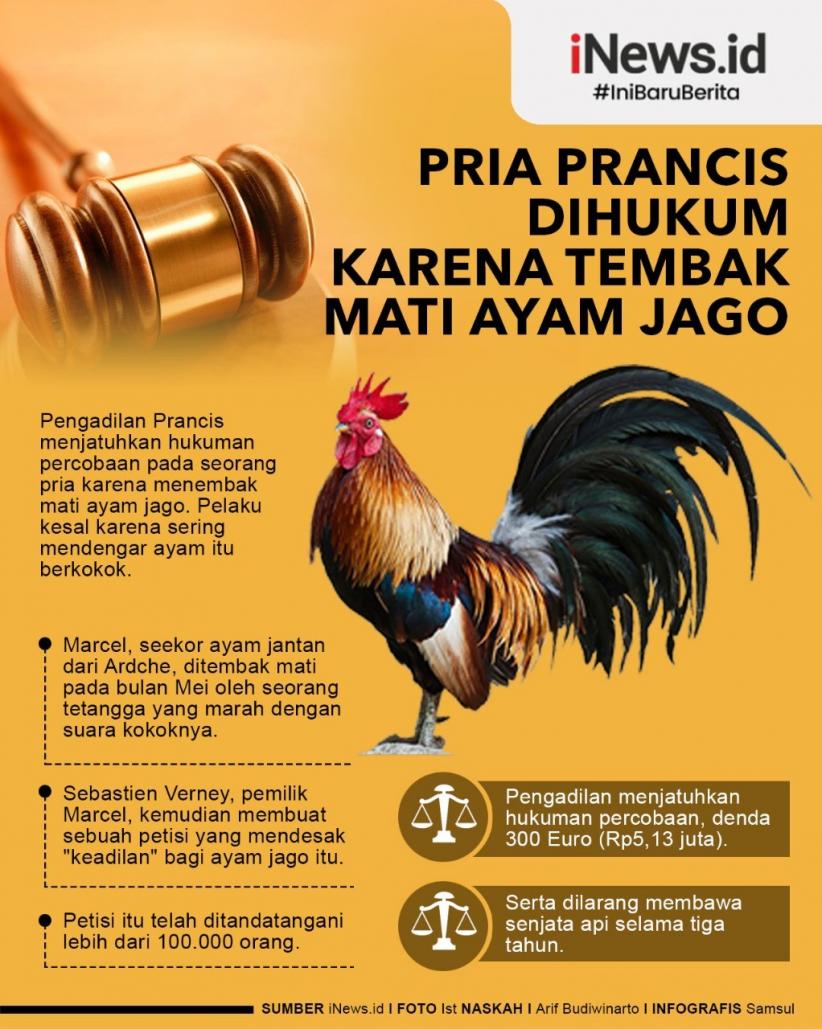 Detail Gambar Ayam Jago Mati Nomer 44