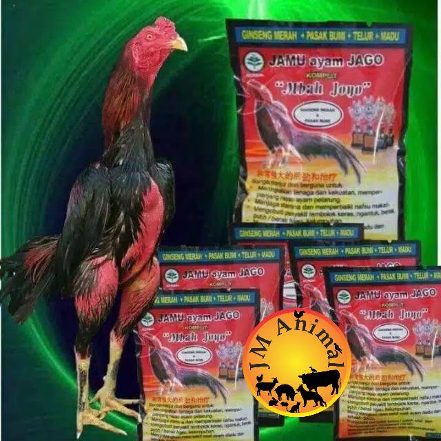 Detail Gambar Ayam Jago Tarung Nomer 46