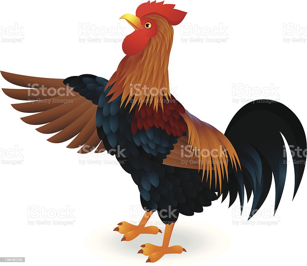 Detail Gambar Ayam Jantan Kartun Nomer 11