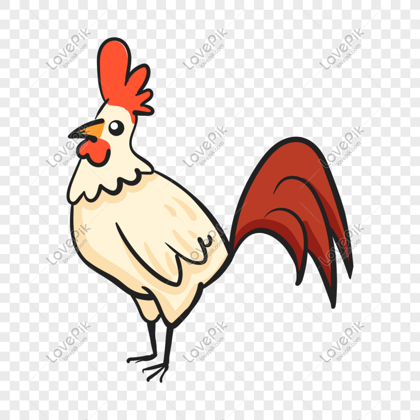 Detail Gambar Ayam Jantan Kartun Nomer 19