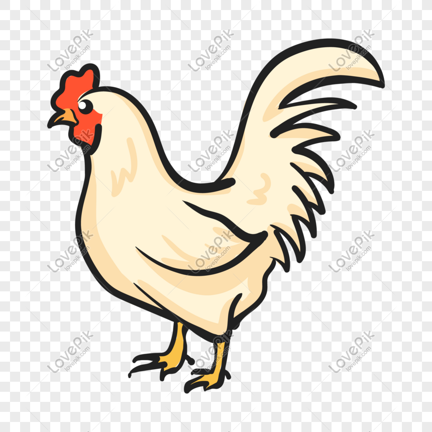 Detail Gambar Ayam Jantan Kartun Nomer 6