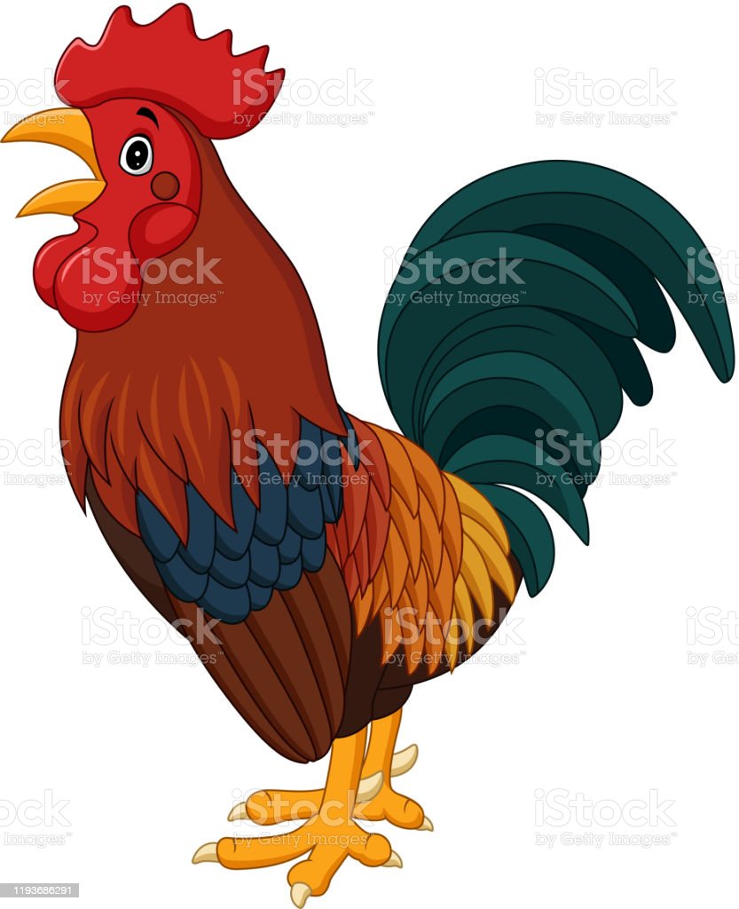 Detail Gambar Ayam Jantan Kartun Nomer 9