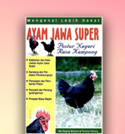 Detail Gambar Ayam Jawa Super Nomer 41