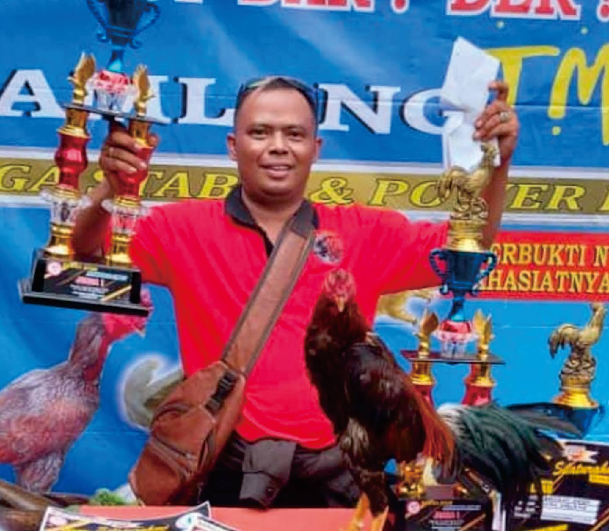 Detail Gambar Ayam Juara Nomer 34