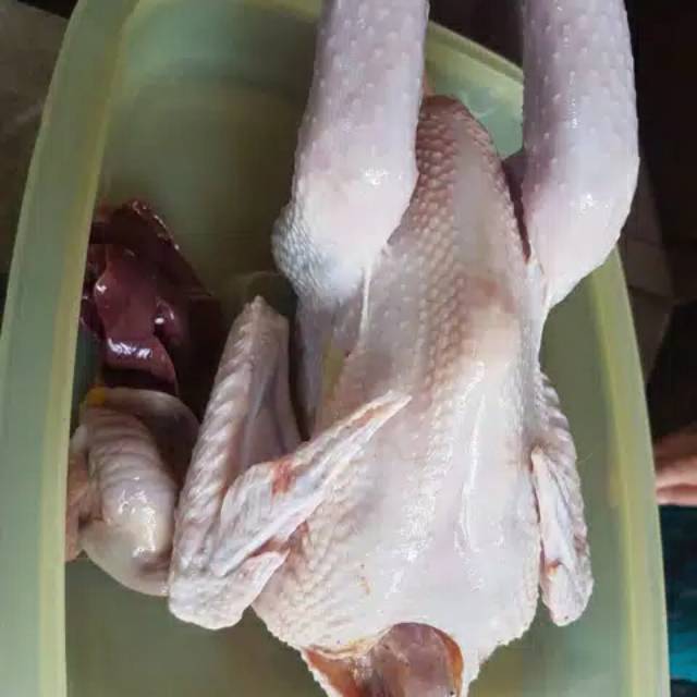 Detail Gambar Ayam Kalasan Nomer 52