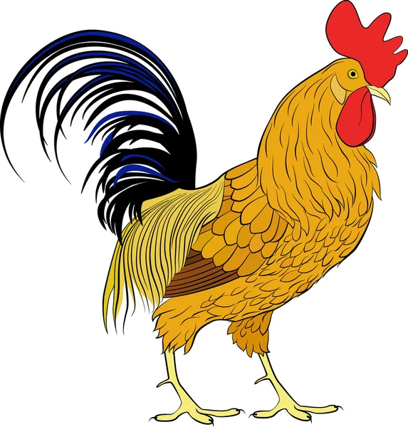 Detail Gambar Ayam Kartun Berdiri Kesamping Nomer 9