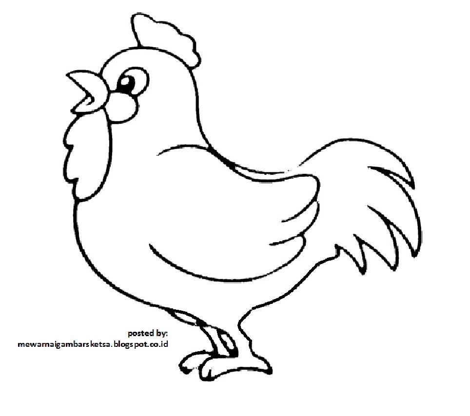 Detail Gambar Ayam Kartun Hitam Putih Nomer 20