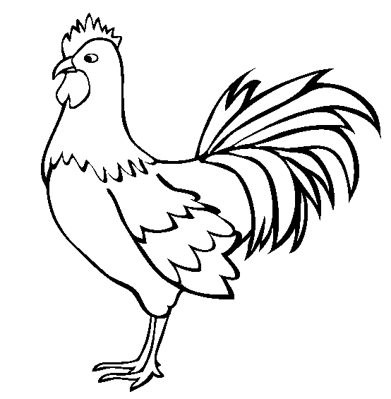 Detail Gambar Ayam Kartun Hitam Putih Nomer 8