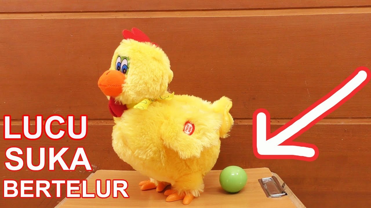 Detail Gambar Ayam Lucu Dan Unik Nomer 29