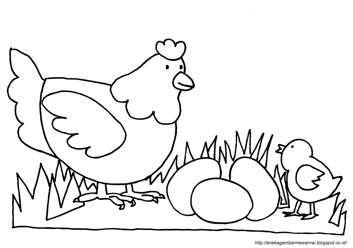 Detail Gambar Ayam Mewarnai Anak Tk Nomer 5