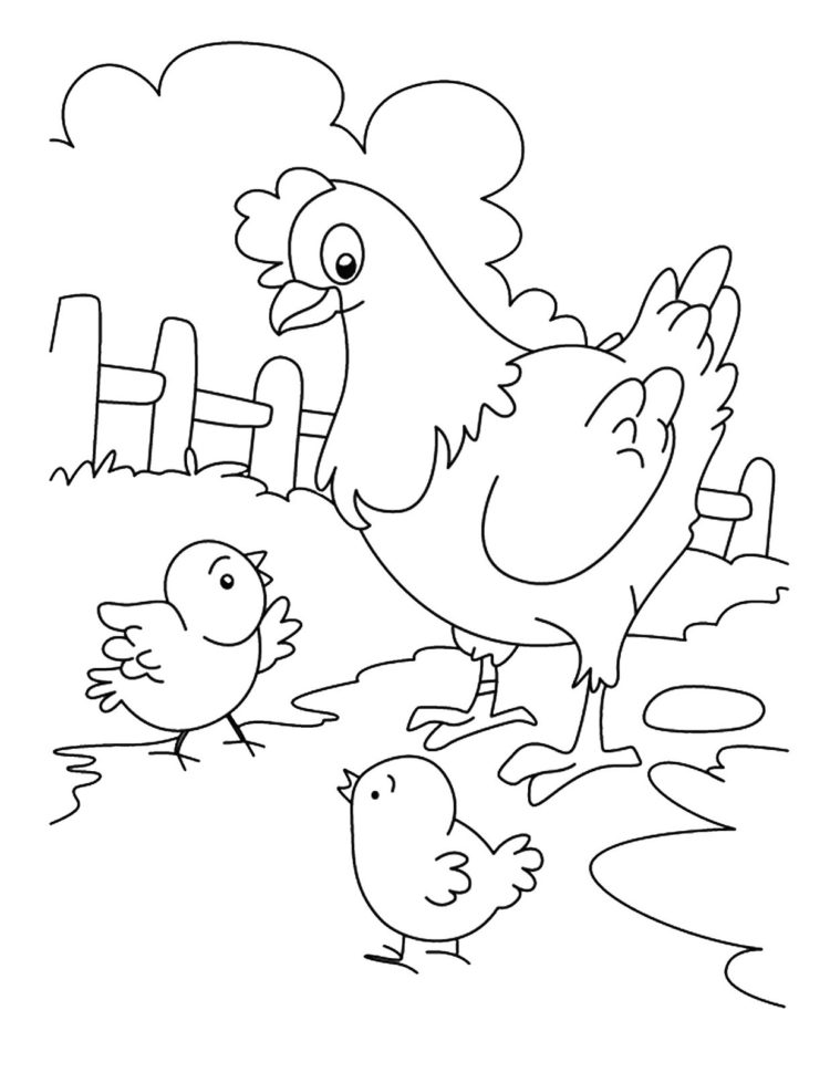 Detail Gambar Ayam Mewarnai Anak Tk Nomer 39
