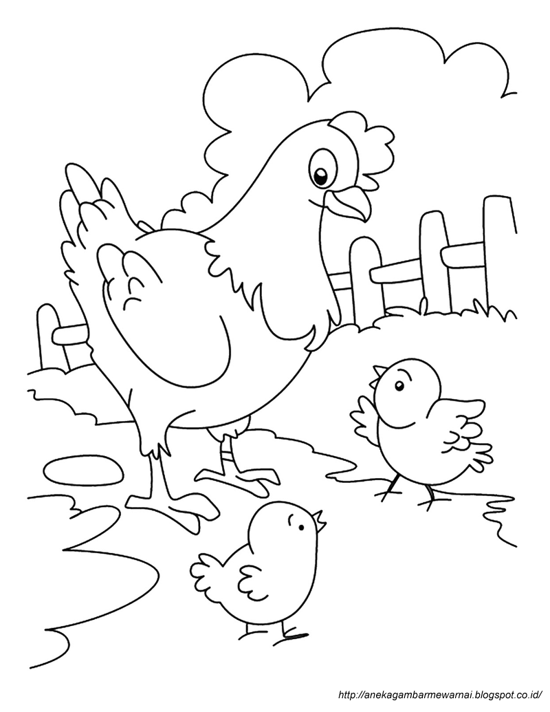 Detail Gambar Ayam Mewarnai Anak Tk Nomer 6