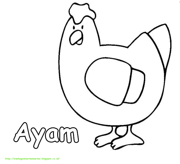 Detail Gambar Ayam Mewarnai Anak Tk Nomer 9