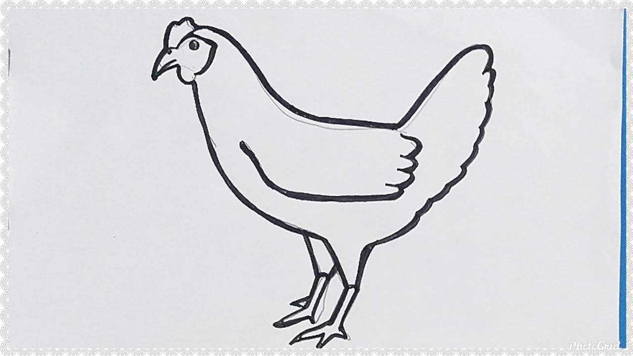 Detail Gambar Ayam Mudah Nomer 2