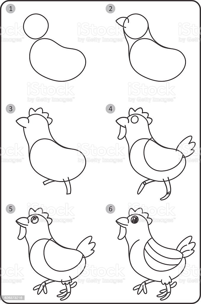 Detail Gambar Ayam Mudah Nomer 11