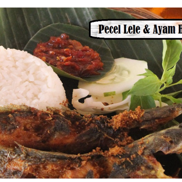 Detail Gambar Ayam Pecel Lele Png Nomer 39