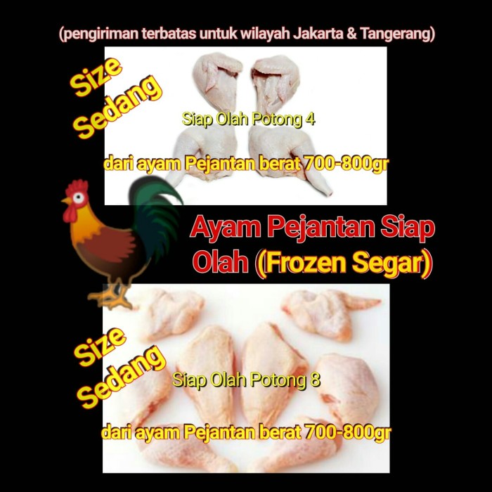 Detail Gambar Ayam Pejantan Nomer 29