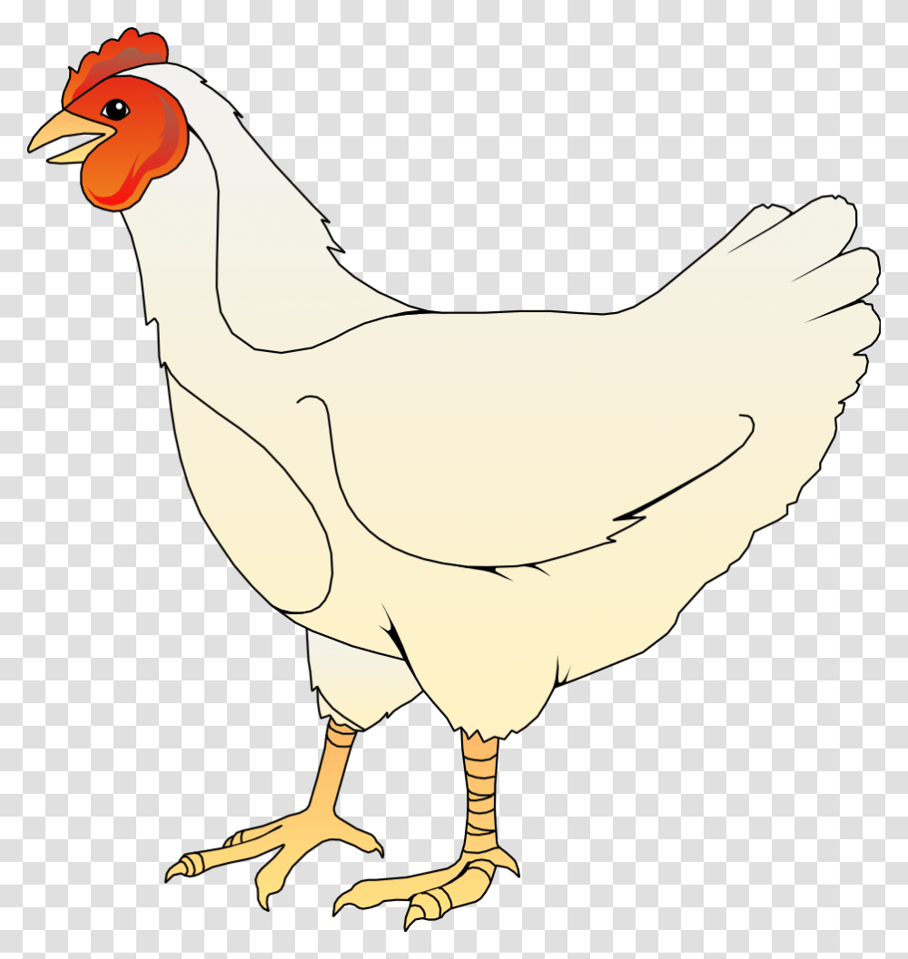 Detail Gambar Ayam Png Nomer 12