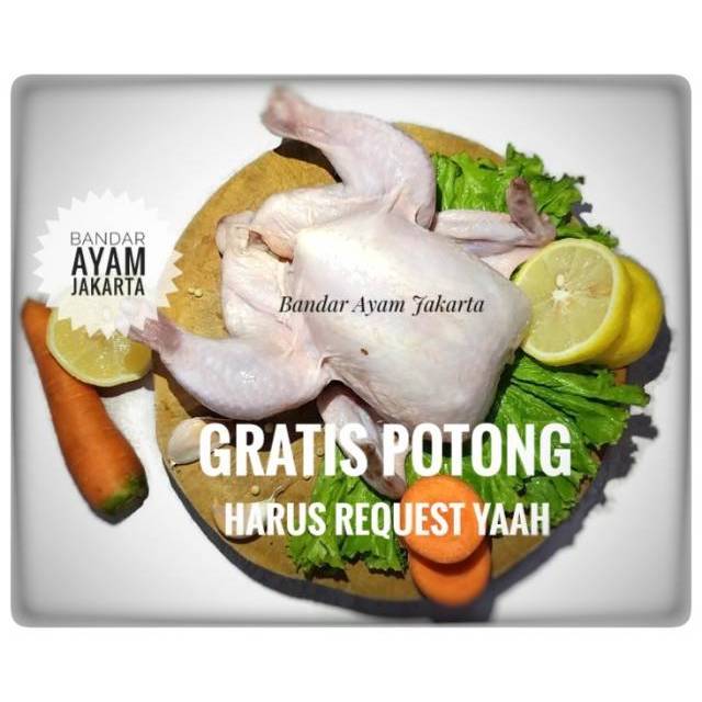 Detail Gambar Ayam Potong 6 Nomer 34