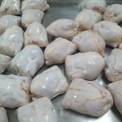 Detail Gambar Ayam Potong Broiler Nomer 43