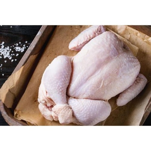 Detail Gambar Ayam Potong Broiler Nomer 44