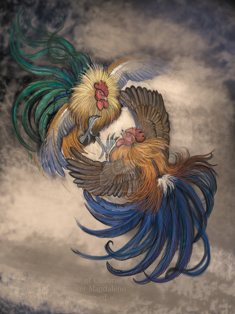 Detail Gambar Ayam Sabung Taji Nomer 15