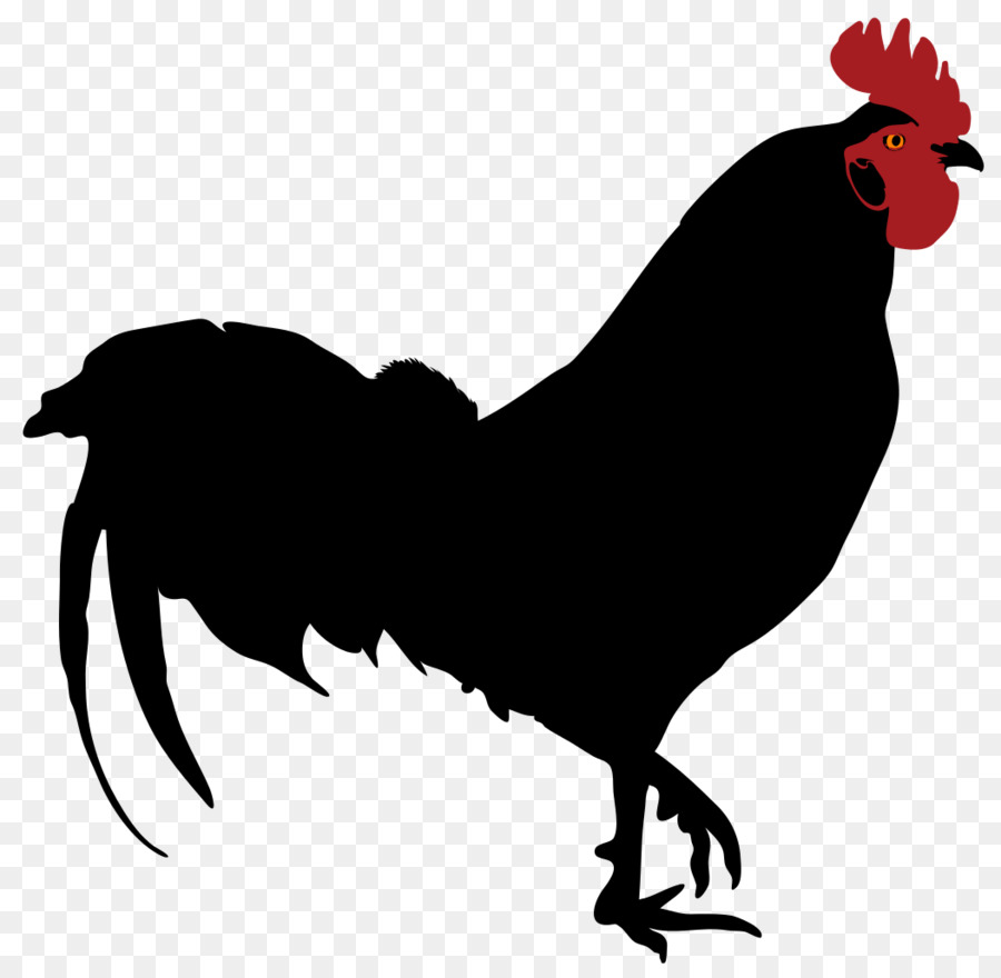 Detail Gambar Ayam Siluet Nomer 11