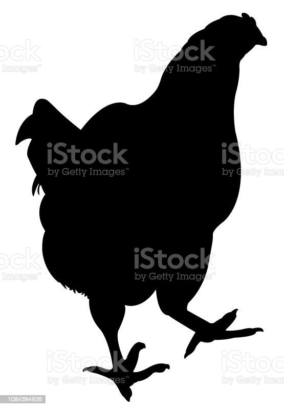 Detail Gambar Ayam Siluet Nomer 17