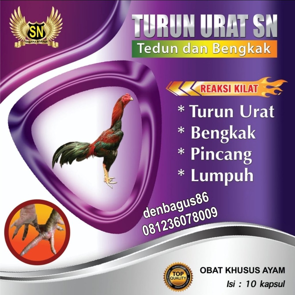 Detail Gambar Ayam Turun Urat Nomer 13