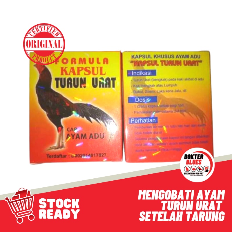 Detail Gambar Ayam Turun Urat Nomer 17