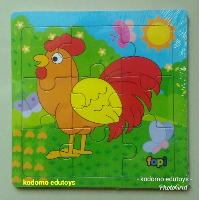 Detail Gambar Ayam Untuk Anak Tk Nomer 18