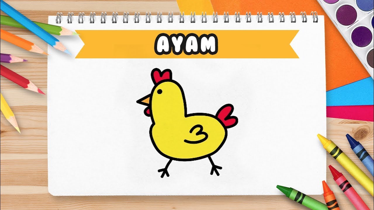 Detail Gambar Ayam Untuk Anak Tk Nomer 4