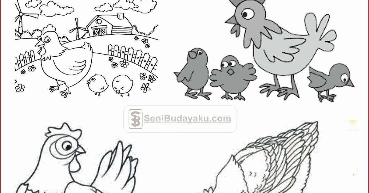 Detail Gambar Ayam Untuk Diwarnai Nomer 25