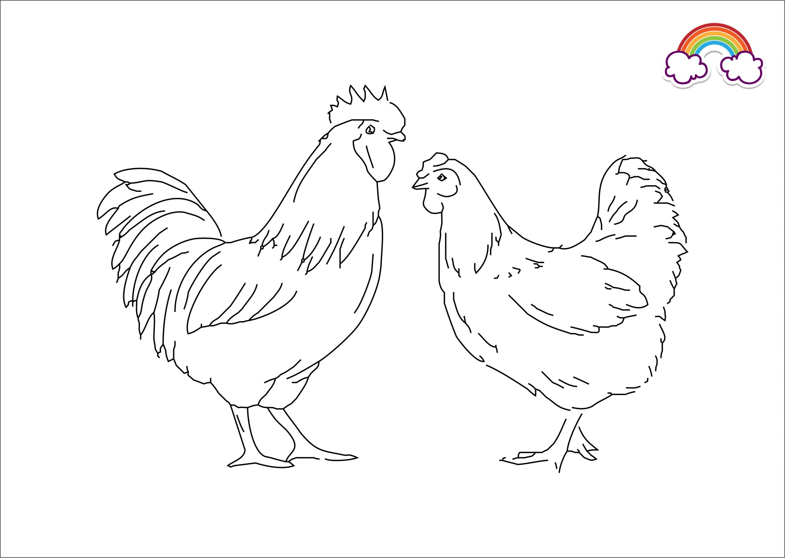 Detail Gambar Ayam Untuk Diwarnai Nomer 28