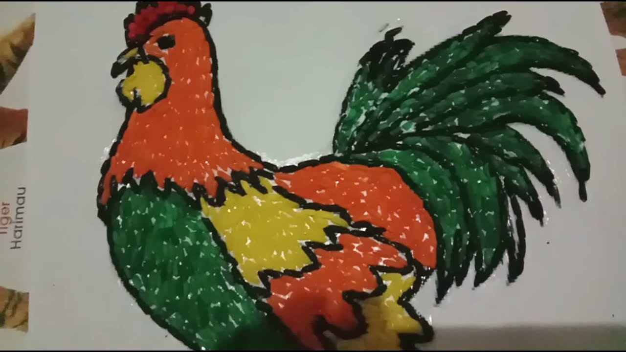 Detail Gambar Ayam Untuk Kolase Nomer 11