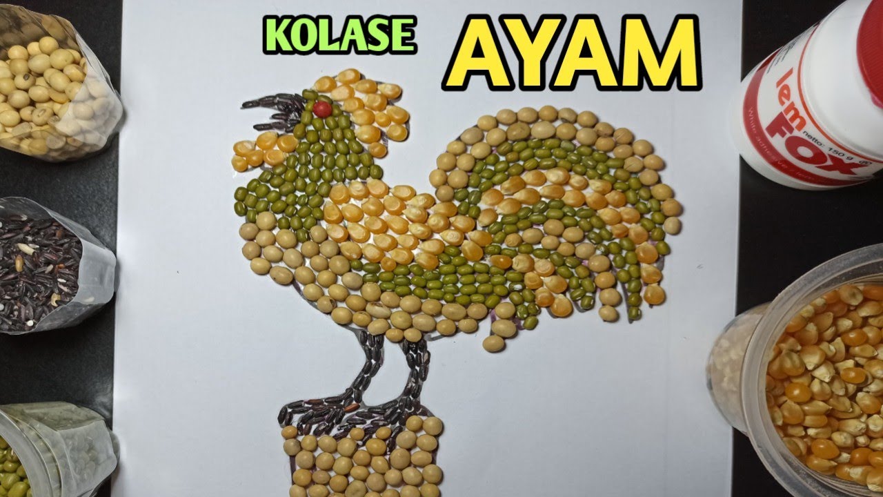 Detail Gambar Ayam Untuk Kolase Nomer 14