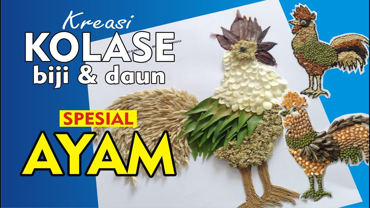 Detail Gambar Ayam Untuk Kolase Nomer 19