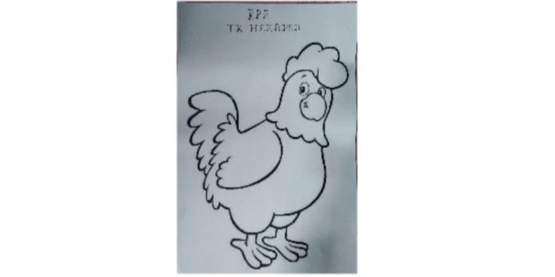 Detail Gambar Ayam Untuk Kolase Nomer 22