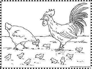 Detail Gambar Ayam Untuk Mewarnai Nomer 14
