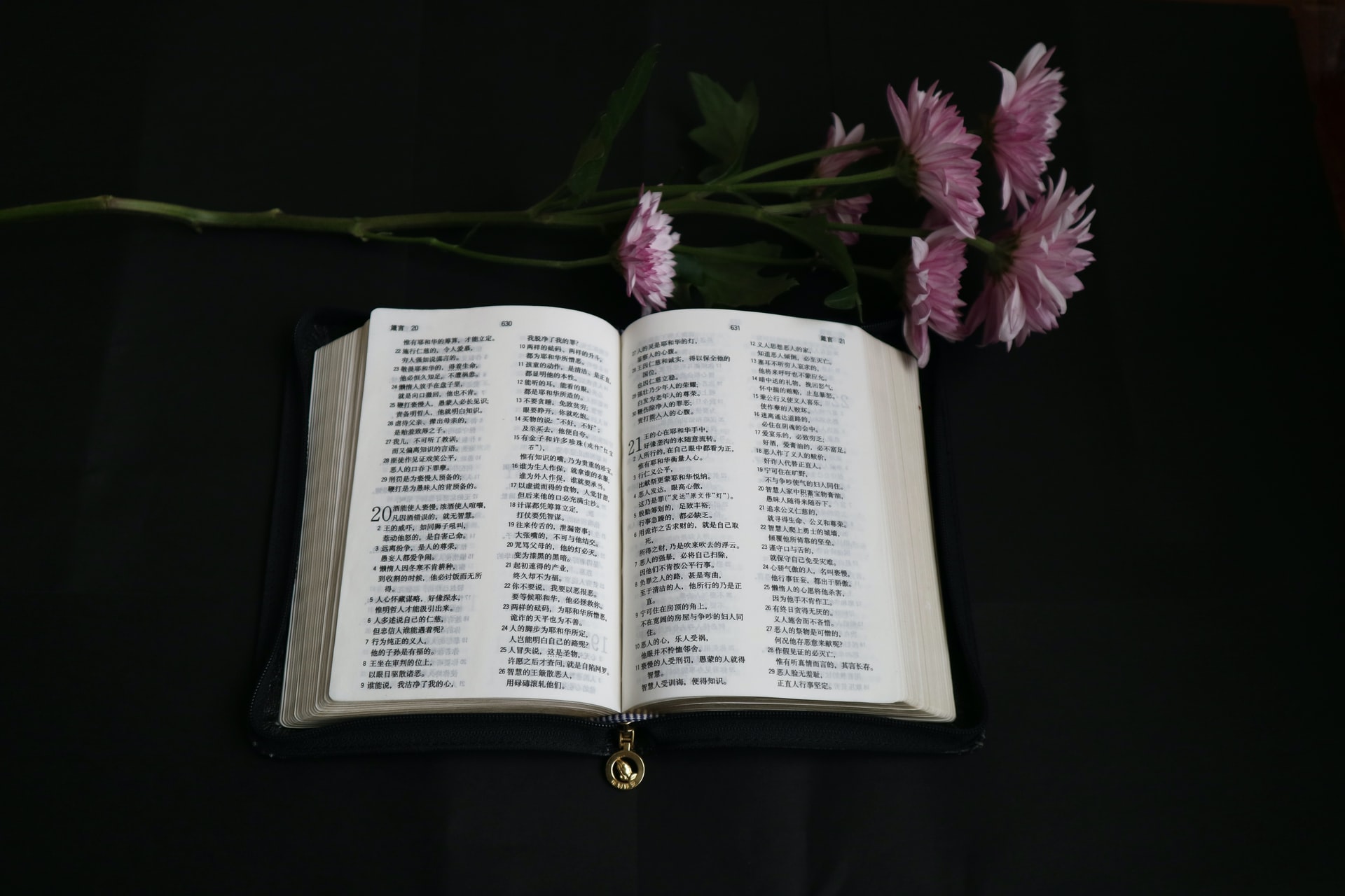 Detail Gambar Ayat Alkitab Untuk Ulang Tahun Nomer 42
