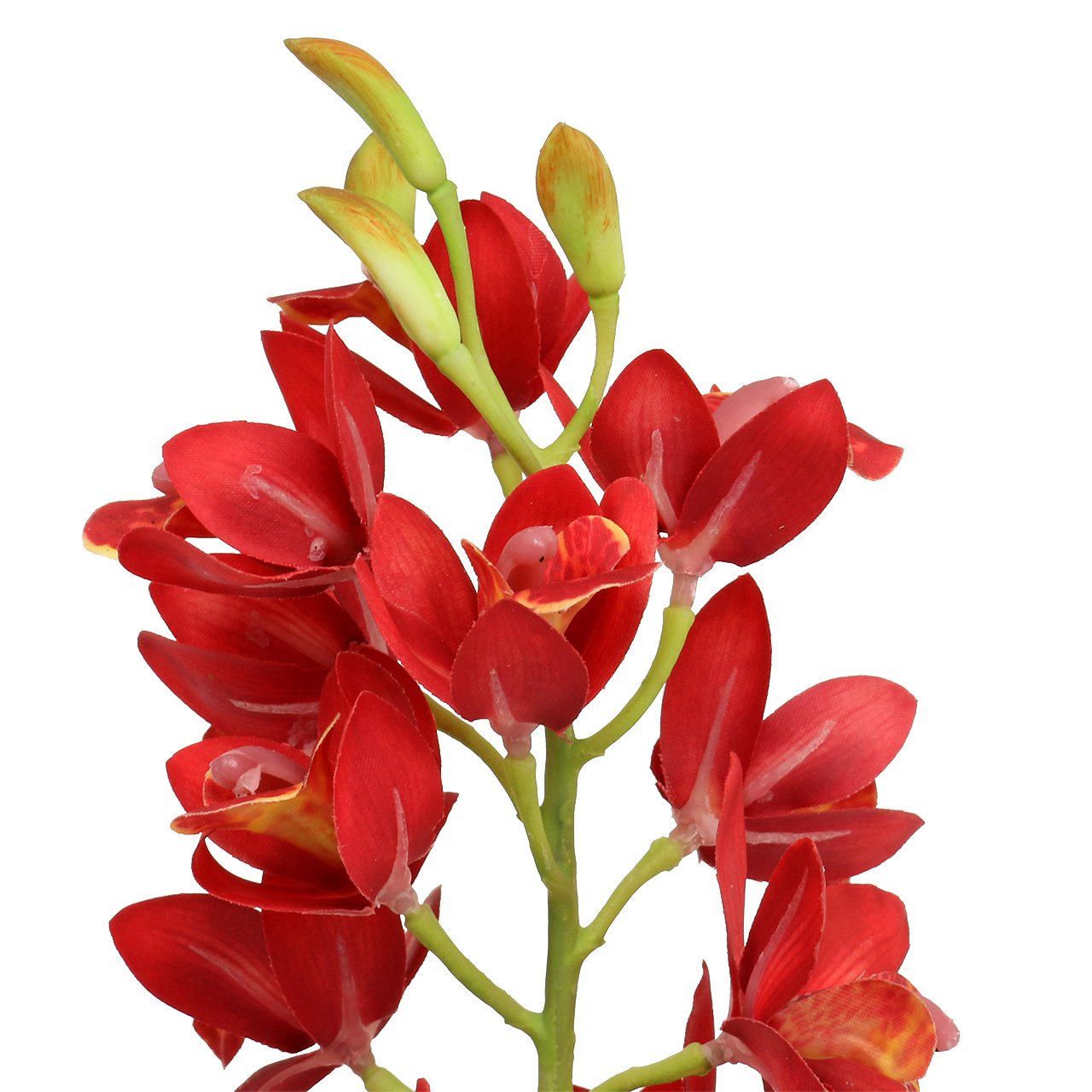Detail Rote Blume Mit Gelben Stempel Nomer 12