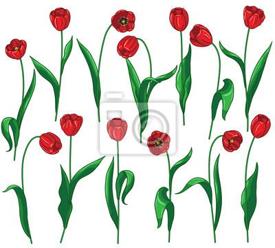 Detail Rote Blume Mit Gelben Stempel Nomer 20