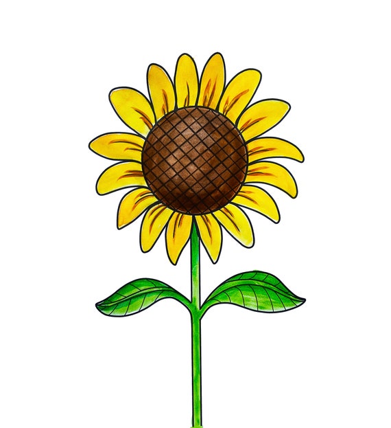 Detail Clipart Sonnenblume Nomer 10