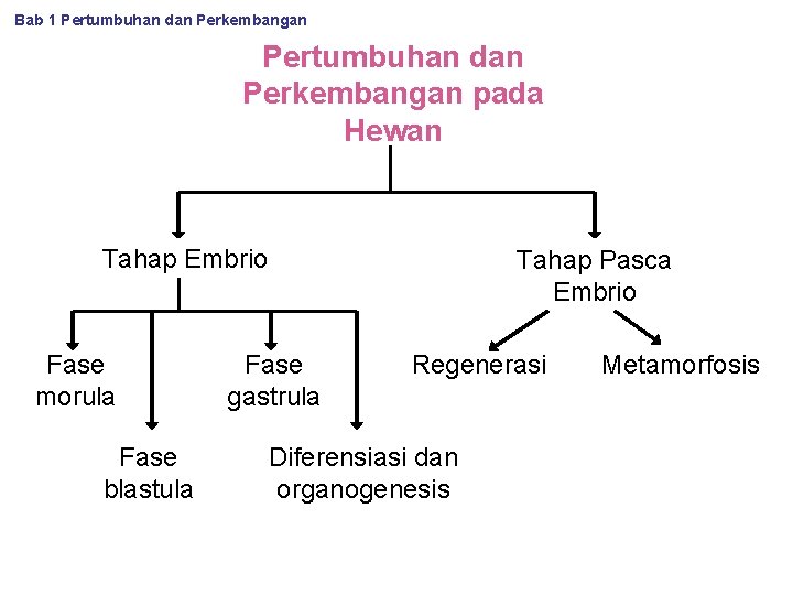 Detail Gambar Bab 1 Pertumbuhan Perkembangan Nomer 21